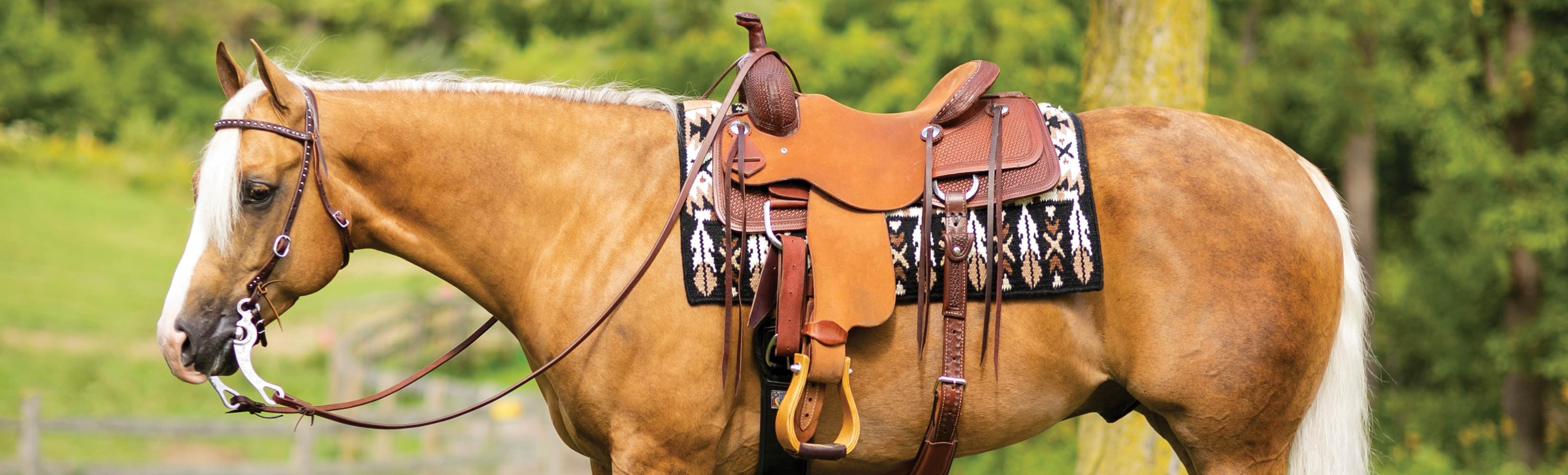 saddle-main-uses