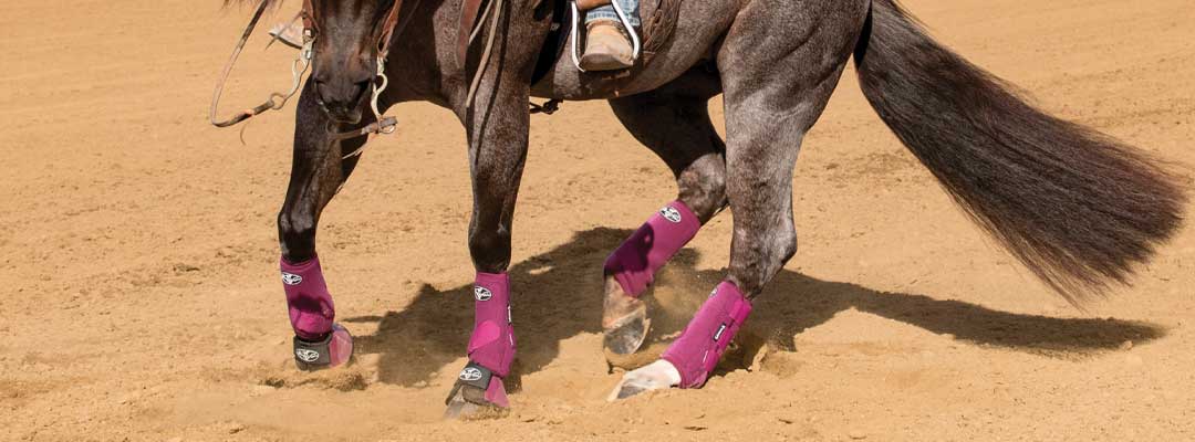 article-professionals-choice-horse-boots-101-2